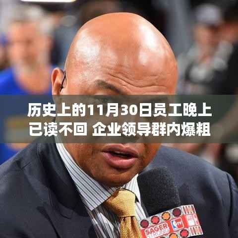 历史上的11月30日员工与领导群内冲突事件,处理指南与事件处理全攻略