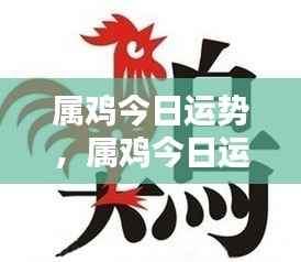 属鸡今日运势详解