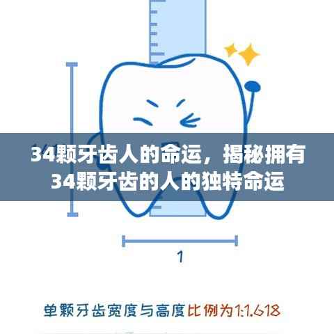 揭秘拥有34颗牙齿者的独特命运解析