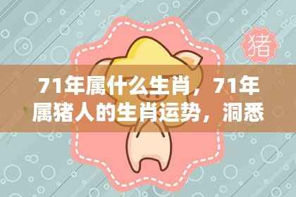1971年生肖运势详解,猪的机遇与挑战分析