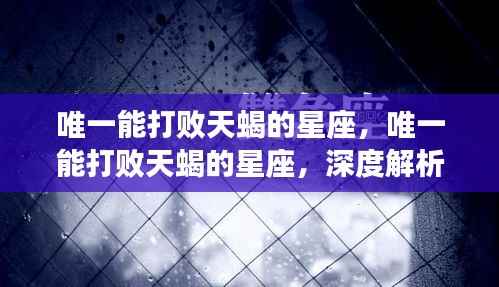 唯一能压制天蝎的星座,深度解析与案例探究