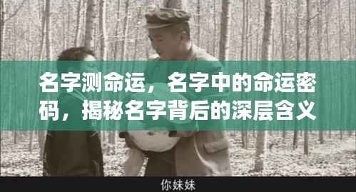 揭秘名字背后的命运密码,名字与命运深度解析