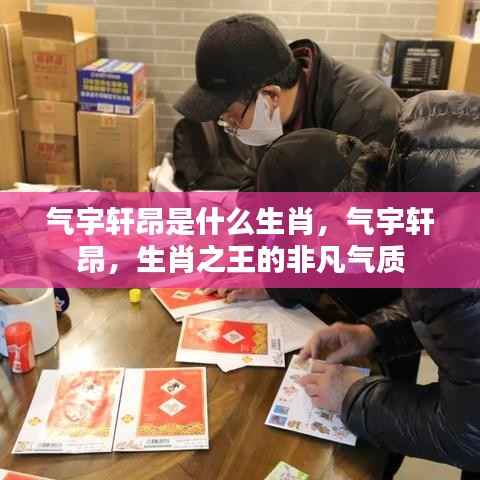 揭秘生肖之王的气宇轩昂,非凡气质展现的生肖风采