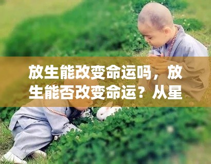 从星座角度解读,放生能否改变命运?人生抉择的探讨