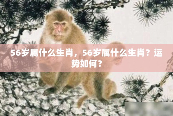 56岁属生肖猴,运势解析与特点