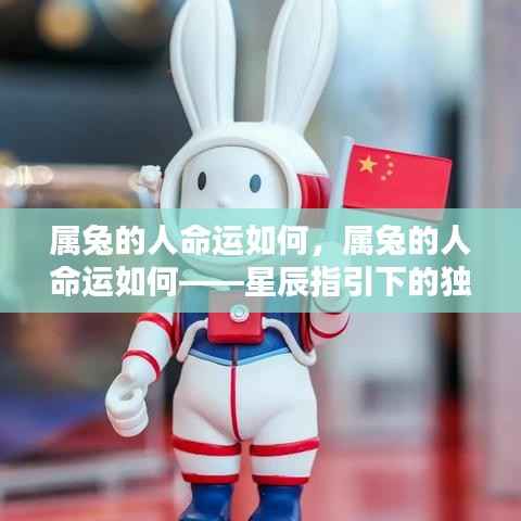 属兔人的星辰命运,独特人生轨迹的指引