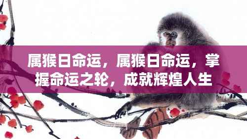 属猴人的命运密码,掌握命运之轮,成就辉煌人生之路