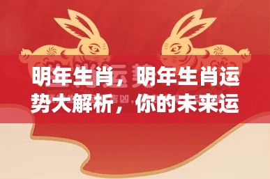 明年生肖运势大解析,洞悉未来运势走向