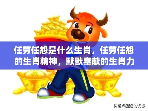 任劳任怨的生肖精神解读，默默奉献的力量与生肖力量的展现