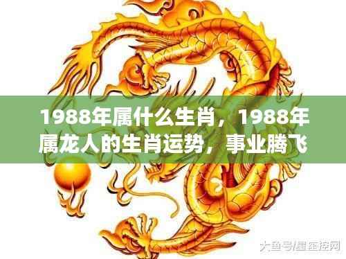 1988年属龙人的事业腾飞与财富滚滚运势解析