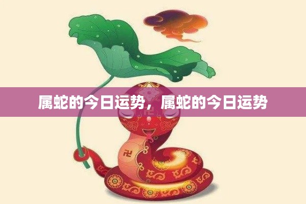 属蛇今日运势详解