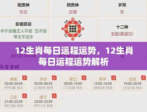每日运势解析，十二生肖运势详解