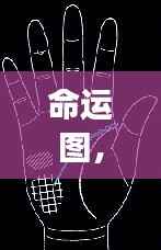 揭秘星座运势走向与探寻个人命运轨迹的命运图解析