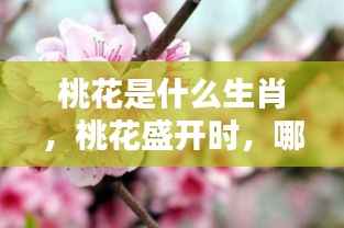 飞箭如蝗 第6页