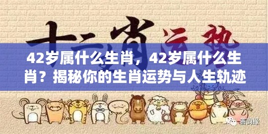 揭秘,42岁属相生肖运势与人生轨迹探索