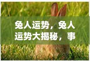 兔年运势大揭秘,事业腾飞,爱情甜蜜,兔人运势亨通