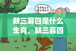 朝三暮四的魅力，揭秘生肖运势与多变特性