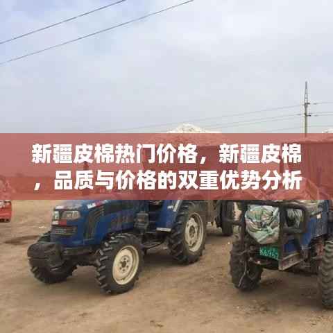 新疆皮棉,品质与价格的双重优势解析及热门价格一览