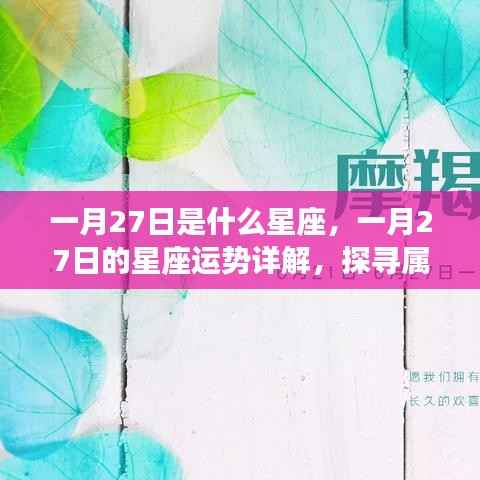 一月27日星座运势详解与奥秘探寻,属于你的星座运势揭秘