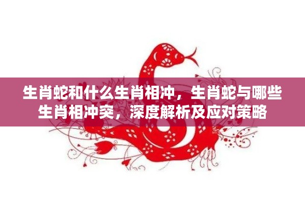 深度解析生肖蛇与哪些生肖相冲突及应对策略