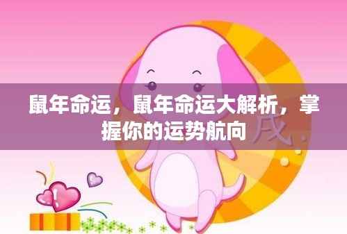 鼠年命运揭秘,掌握运势航向的全方位解析