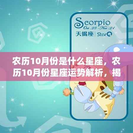 农历十月星座运势解析，揭秘天蝎与射手的神秘面纱