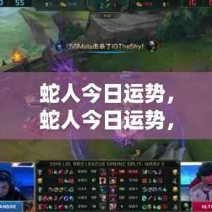 蛇人今日运势揭秘，把握机会，顺势而为，开启好运之门