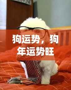 展翅高飞 第6页