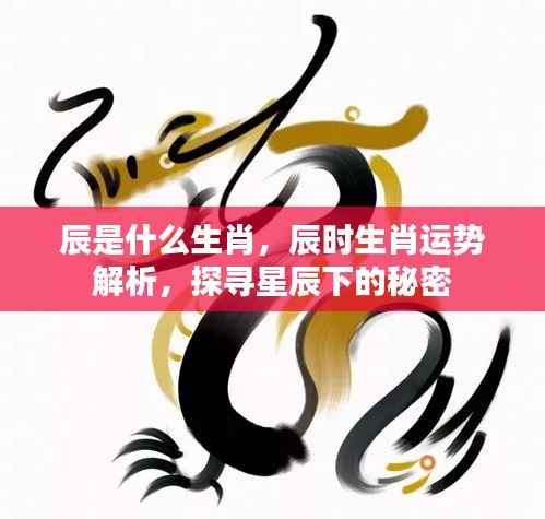 辰时生肖运势揭秘,探寻星辰下的秘密与生肖运势解析