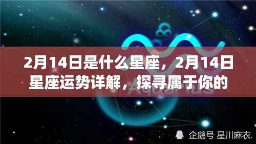2月14日星座运势揭秘，探寻属于你的星座奥秘