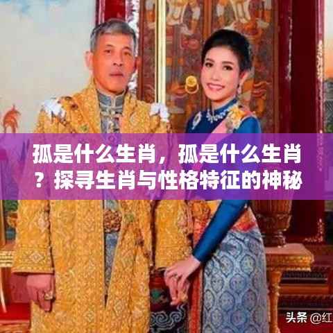 孤的生肖属性与性格特征，探寻生肖与性格的神秘关联