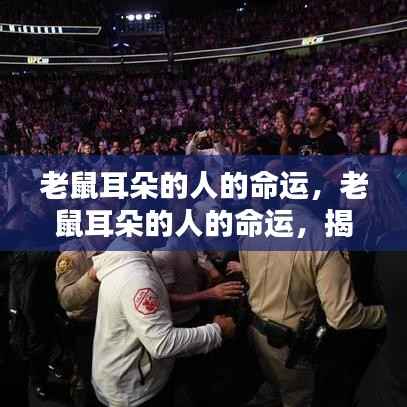 鸟语蝉鸣 第6页