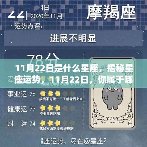 揭秘11月22日星座运势,你属于哪个星座?