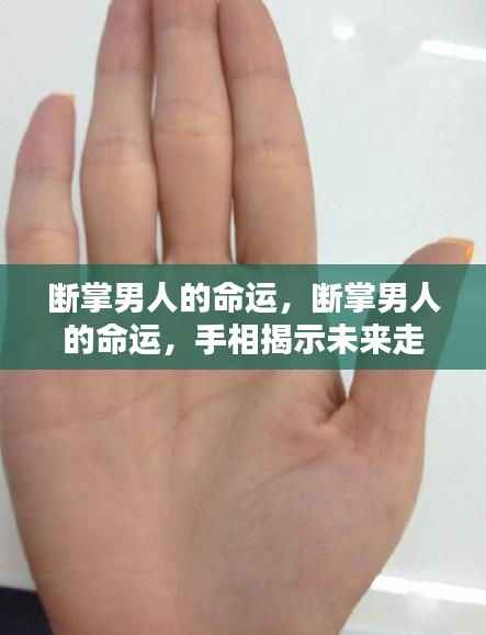 云龙井蛙 第6页