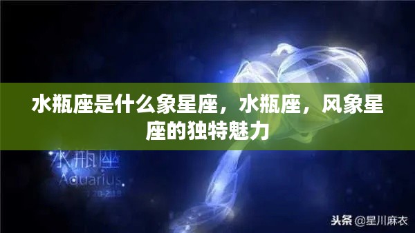 水瓶座独特魅力揭秘,作为风象星座的特点与解析