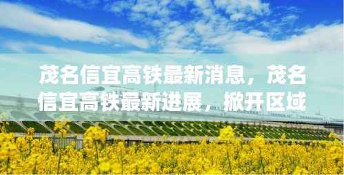 飞箭如蝗 第5页