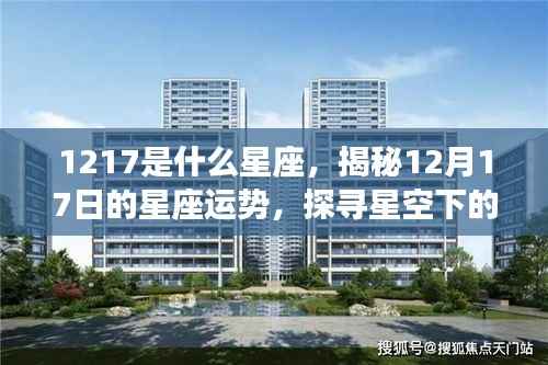揭秘星空之谜,12月17日的星座运势与秘密探寻