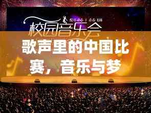 歌声里的中国比赛,音乐与梦想的璀璨舞台