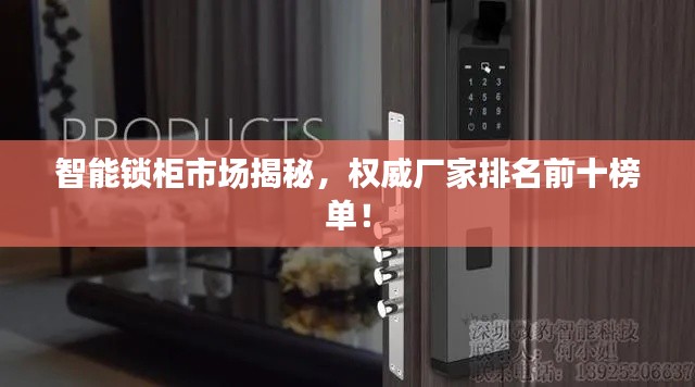 智能锁柜市场揭秘，权威厂家排名前十榜单！