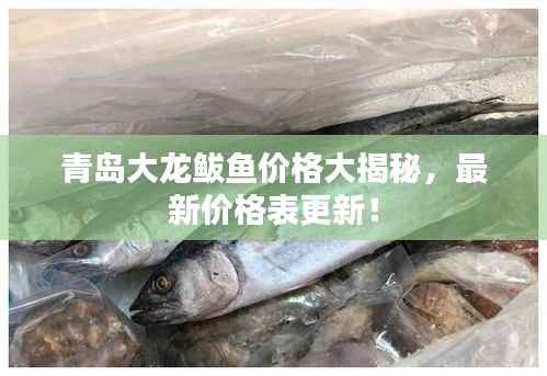 青岛大龙鲅鱼价格大揭秘,最新价格表更新!