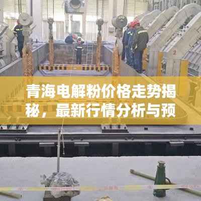 青海电解粉价格走势揭秘,最新行情分析与预测