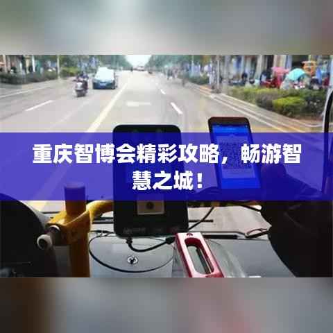 重庆智博会精彩攻略，畅游智慧之城！