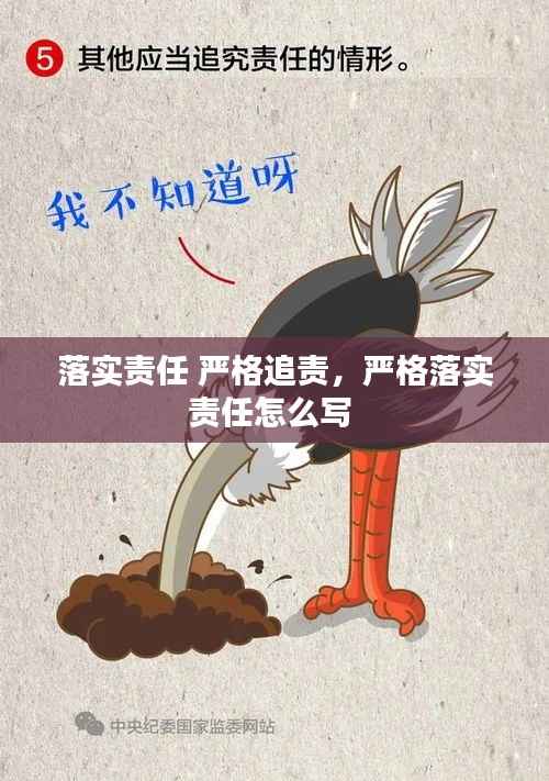 落实责任 严格追责,严格落实责任怎么写