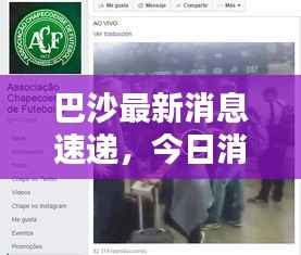 巴沙最新消息速递,今日消息一览