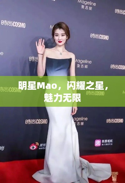 明星Mao，闪耀之星，魅力无限