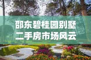 邵东碧桂园别墅二手房市场风云再起，最新动态揭秘