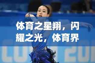 体育之星翔，闪耀之光，体育界的璀璨星辰