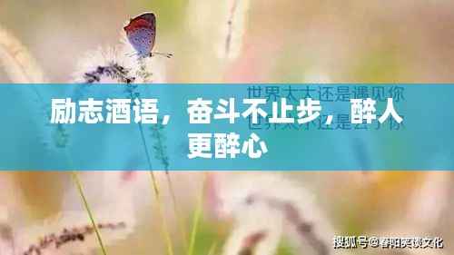 励志酒语，奋斗不止步，醉人更醉心