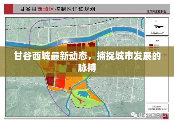 甘谷西城最新动态,捕捉城市发展的脉搏